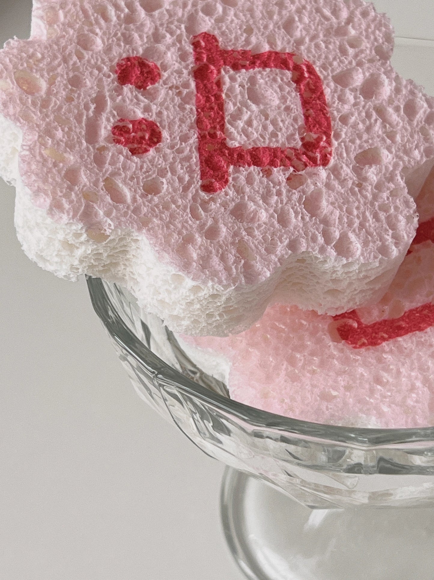 Kitchen Sponge